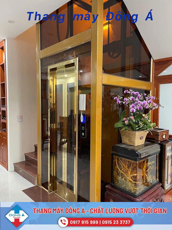 Thang máy lồng kính